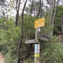 반송1동-11 | 반송에서 장산 정상까지 후기(등산코스+반송맛집 곱창전골)