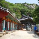 신라주유소 | 양산 가볼만한곳 천성산 사찰 절 석굴사원인 미타암
