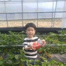 윤호농장 이미지