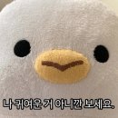 모니샌디치