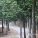 푸르다남해펜션 이미지