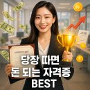 [HD]DIAT 자격증 따기 이론 - 인터넷정보검색 | 당장 따면 돈 되는 자격증 모음