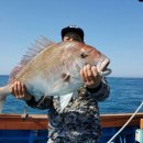 낚시천국 이미지