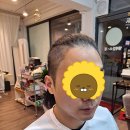 엘레강스·경