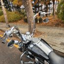 (판매완료) 아름다운 로드킹 급매합니다. 이미지