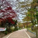마니산 국민관광지 | [등산/마니산] 2025.04.27.(일) 강화도 마니산, 등산 코스 정보, 주차정보