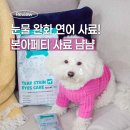 아이즈 | 본아페티 강아지 눈 건강 연어 LID 사료 티어스테인앤아이즈 리얼후기