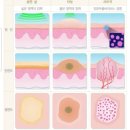 예끌리나