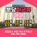 파크뷰아파트.청소년수련관 | [정자동 아파트] &#39;분당 파크뷰&#39; 현재 거래 가능 매매 리스트 및 주변 입지, 커뮤니티 시설 정보