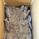 동윤농장 이미지