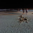 스위스샬레 이미지