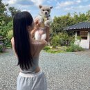 스테이더담 이서점 이미지