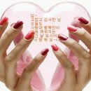 세상사는이야기 티스토리