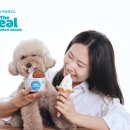 리얼 이미지
