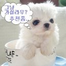 그곳