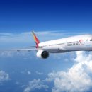 개in샵(개in#) 이미지