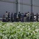2025 농수산물 온라인 도매시장 산지팸투어 1회차 (경북) 후기