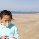 비치스토리 | 서해바다 대천해수욕장 놀거리 먹거리 숙소 한번에 보기