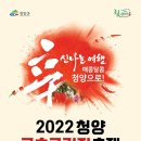 청양 고추🌶(구기자)축제 이미지