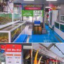 주문진 관광안내소 이미지