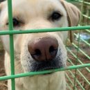 힘차게농장 이미지