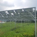 광은2농장 이미지