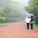 천년비자 이미지