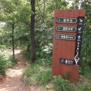 용인정신병원 이미지