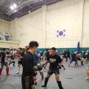 팀매드 | 팀매드 어쎔블02 후기!