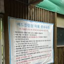 영흥체육관 | [수원] 수원시청역 88배드민턴클럽 이용 후기 - 무료 실내 배드민턴장