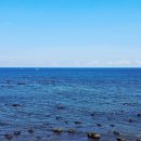 애월연대 이미지