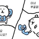 평생 다이어트식 이미지