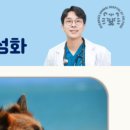 호랑이 동물병원 이미지