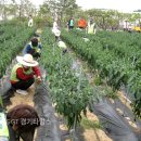 수봉농장 이미지