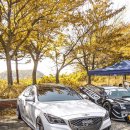 양덕동148 이미지