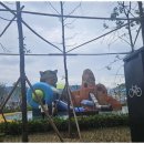 꿈그린부동산중개 이미지