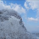 마치 Daum카페