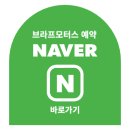 브라프모터스