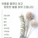 삼성 봄 정신건강의학과의원 이미지