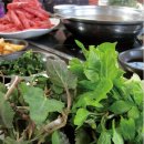 허준약초골 이미지