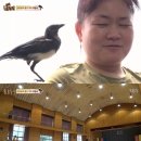 까치미용실 이미지