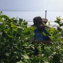 둔포농장 이미지