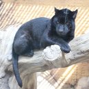 대전아쿠아리움 이미지