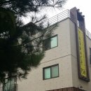 동탄우체국 Daum카페
