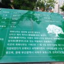괴정1동-5 네이버블로그