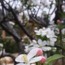 상예동-14 이미지