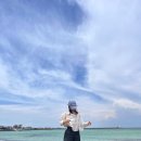 카페두가시 | 제주 번네식당/카페두가시/우진해장국/카페한라산/버거캐럿