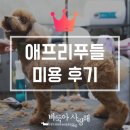 바둑아 사랑해 이미지