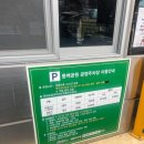 부산 가볼만한곳 동백꽃 명소 동백섬 해운대해수욕장 여행코스