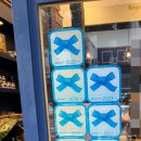 강정동-7 이미지